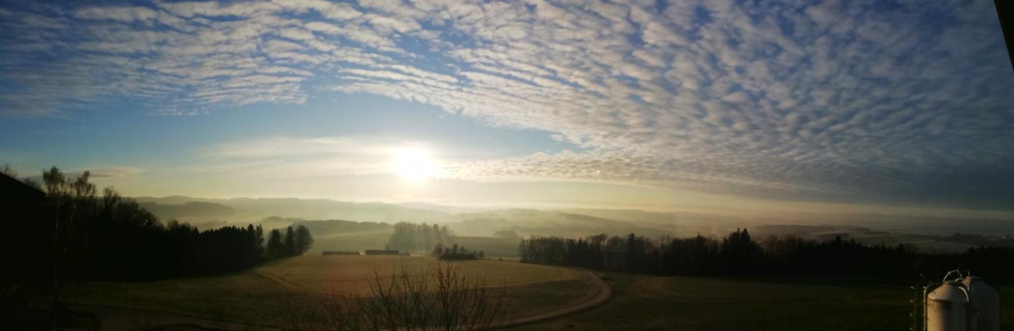 Landgasthof Peterbauer Schärding Exteriér fotografie